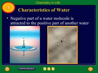 Chemistry in Life
1
      Characteristics of Water
• Negative part of a water molecule is
  attracted to the positive part of another water
  molecule
 