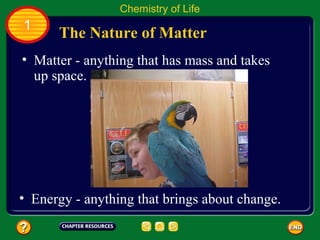 Chemistry of Life
1
      The Nature of Matter
• Matter - anything that has mass and takes
  up space.




• Energy - anything that brings about change.
 