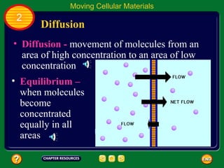 Moving Cellular Materials
 2
      Diffusion
• Diffusion - movement of molecules from an
  area of high concentration to an area of low
  concentration
• Equilibrium –
  when molecules
  become
  concentrated
  equally in all
  areas
 