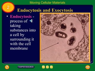 Moving Cellular Materials
2
      Endocytosis and Exocytosis
• Endocytosis -
  process of
  taking
  substances into
  a cell by
  surrounding it
  with the cell
  membrane
 