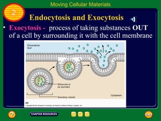 Moving Cellular Materials
   2
         Endocytosis and Exocytosis
• Exocytosis - process of taking substances OUT
  of a cell by surrounding it with the cell membrane
 