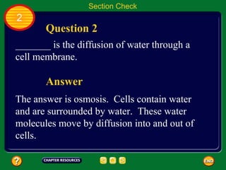 Section Check
2
       Question 2
_______ is the diffusion of water through a
cell membrane.

       Answer
The answer is osmosis. Cells contain water
and are surrounded by water. These water
molecules move by diffusion into and out of
cells.
 