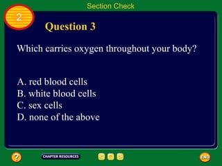 Section Check
2
      Question 3
Which carries oxygen throughout your body?


A. red blood cells
B. white blood cells
C. sex cells
D. none of the above
 