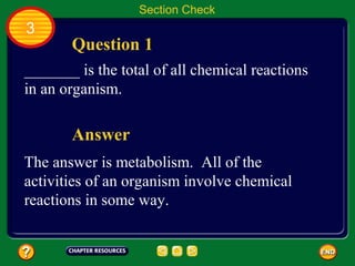 Section Check
3
       Question 1
_______ is the total of all chemical reactions
in an organism.

       Answer
The answer is metabolism. All of the
activities of an organism involve chemical
reactions in some way.
 