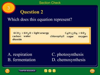 Section Check
3
      Question 2
Which does this equation represent?




A. respiration           C. photosynthesis
B. fermentation          D. chemosynthesis
 