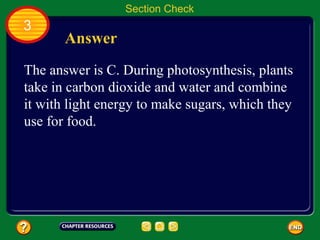 Section Check
3
       Answer
The answer is C. During photosynthesis, plants
take in carbon dioxide and water and combine
it with light energy to make sugars, which they
use for food.
 