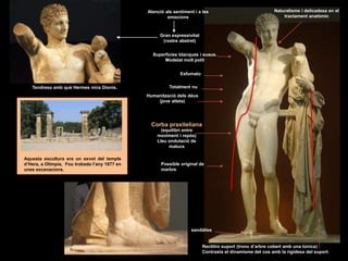 Tendresa amb què Hermes mira Dionís.
Aquesta escultura era un exvot del temple
d’Hera, a Olímpia. Fou trobada l’any 1877 en
unes excavacions.
Rectilini suport (tronc d’arbre cobert amb una túnica)
Contrasta el dinamisme del cos amb la rigidesa del suport.
Atenció als sentiment i a les
emocions
Naturalisme i delicadesa en el
tractament anatòmic
Gran expressivitat
(rostre abstret)
Esfumato
Humanització dels déus
(jove atleta)
Corba praxiteliana
(equilibri entre
moviment i repòs)
Lleu ondulació de
malucs
Possible original de
marbre
Superfícies blanques i suaus.
Modelat molt polit
sandàlies
Totalment nu
 