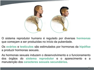 O sistema reprodutor humano é regulado por diversas hormonas
que começam a ser produzidas no início da puberdade.
Os ovários e testículos são estimulados por hormonas da hipófise
a produzir hormonas sexuais.
As hormonas sexuais induzem o desenvolvimento e o funcionamento
dos órgãos do sistema reprodutor e o aparecimento e a
manutenção dos caracteres sexuais secundários.
2/11
 
