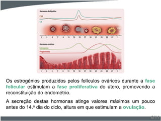 Os estrogénios produzidos pelos folículos ováricos durante a fase
folicular estimulam a fase proliferativa do útero, promovendo a
reconstituição do endométrio.
A secreção destas hormonas atinge valores máximos um pouco
antes do 14.o dia do ciclo, altura em que estimulam a ovulação.
6/11
 