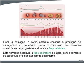 Finda a ovulação, o corpo amarelo continua a produção de
estrogénios e, sobretudo, inicia a secreção de elevadas
quantidades de progesterona durante a fase luteínica.
Esta hormona assegura a fase secretora do útero, com o aumento
de espessura e a manutenção do endométrio.
7/11
 