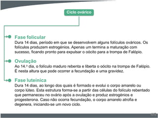 4/9
Fase folicular
Dura 14 dias, período em que se desenvolvem alguns folículos ováricos. Os
folículos produzem estrogénios. Apenas um termina a maturação com
sucesso, ficando pronto para expulsar o oócito para a trompa de Falópio.
Ovulação
Ao 14.o dia, o folículo maduro rebenta e liberta o oócito na trompa de Falópio.
É nesta altura que pode ocorrer a fecundação e uma gravidez.
Fase luteínica
Dura 14 dias, ao longo dos quais é formado e evolui o corpo amarelo ou
corpo lúteo. Esta estrutura forma-se a partir das células do folículo rebentado
que permaneceu no ovário após a ovulação e produz estrogénios e
progesterona. Caso não ocorra fecundação, o corpo amarelo atrofia e
degenera, iniciando-se um novo ciclo.
Ciclo ovárico
 