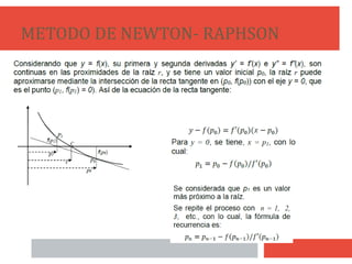 METODO DE NEWTON- RAPHSON
17
 