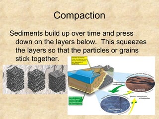 Compaction
Sediments build up over time and press
down on the layers below. This squeezes
the layers so that the particles or grains
stick together.
 