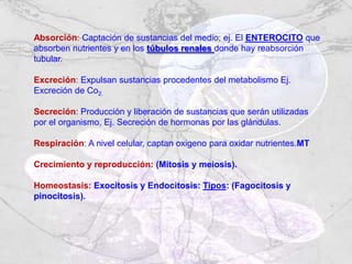Absorción: Captación de sustancias del medio; ej. El ENTEROCITO que
absorben nutrientes y en los túbulos renales donde hay reabsorción
tubular.
Excreción: Expulsan sustancias procedentes del metabolismo Ej.
Excreción de Co2.
Secreción: Producción y liberación de sustancias que serán utilizadas
por el organismo, Ej. Secreción de hormonas por las glándulas.
Respiración: A nivel celular, captan oxigeno para oxidar nutrientes.MT
Crecimiento y reproducción: (Mitosis y meiosis).
Homeostasis: Exocitosis y Endocitosis: Tipos: (Fagocitosis y
pinocitosis).
 