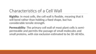 Cell Rigidity 03Composition-and-Function-of-Cell types and kinds | PPTX