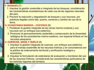 F. BOSQUES (7)
1. Impulsar la gestión sostenible e integrada de los bosques, considerando
las características ecosistémicas de cada una de las regiones naturales
del país.
2. Prevenir la reducción y degradación de bosques y sus recursos, por
prácticas ilegales como tala, quema, comercio y cambio de uso de la
tierra.
G. ECOSISTEMAS MARINOS – COSTEROS (6)
1. Fortalecer la gestión integrada de las zonas marino-costeras y sus
recursos con un enfoque eco-sistémico.
2. Promover el aprovechamiento sostenible y conservación de la diversidad
biológica de los ecosistemas marino-costeros, con especial énfasis en los
recursos pesqueros.
H. CUENCAS, AGUA Y SUELO (6)
1. Impulsar la gestión integrada de cuencas, con enfoque eco-sistémico
para el manejo sostenible de los recursos hídricos y en concordancia con
la política de ordenamiento territorial y zonificación ecológica y
económica.
2. Impulsar la formulación de estándares de evaluación y monitoreo del uso
de los recursos hídricos, considerando las características particulares de
las distintas regiones del territorio.
 
