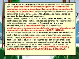 Las personas y los grupos sociales que se oponen a la minería aseguran
que los proyectos tendrían un impacto negativo en las actividades
productivas agrícolas y pecuarias de las comunidades campesinas de
la zona y de las poblaciones, ya que las operaciones de la minera y otras
concesiones mineras adyacentes, están ubicadas en las nacientes de
cuencas de ríos o lagunas importantes.
Si bien es cierto que se ha dado la LEY DE CONSULTA POPULAR para
contrarrestar esta problemática, en la realidad concreta no se cumple lo que
establece esta norma; por cuanto, el Estado sigue otorgando
concesiones, con el descontento social y las subsecuentes
manifestaciones, paros, protestas, violencia, muertes y alteraciones del
orden público e incluso se compromete el ORDEN INTERNO.
Las poblaciones consideran que las empresas petroleras y mineras van a
destruir la biodiversidad de especies que se encuentran en su jurisdicción,
esto es, se van a perjudicar zonas con recursos naturales importantes,
fábricas de agua, acuíferos, las lagunas que también se encuentran
concesionadas, sufriendo daños sus paisajes, agricultura, ganadería,
pesca, etc., y que van a perder su medio de vida y precaria economía.
Que en definitiva se atenta contra sus NECESIDADES, INTERESES y
ASPIRACIONES DE SU CULTURA DE PUEBLO o COMUNIDAD.
 