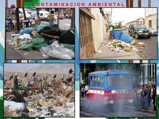 C O N T A M I N A C I O N A M B I E N T A L
 