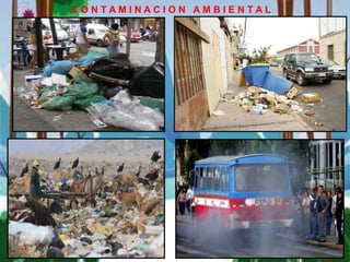 C O N T A M I N A C I O N A M B I E N T A L
 