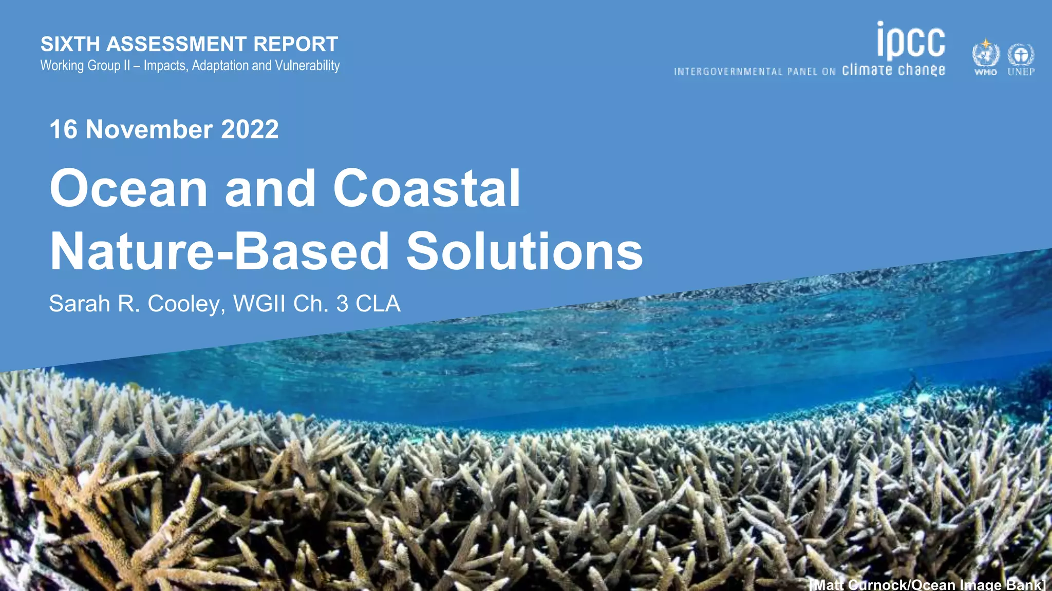 Nature based solutions for ocean and coastal management ppt