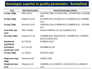 Genotypes superior in quality parameters - Buckwheat
Trait Best Check (value) Selected Genotypes (Value)
Ca (mg/ 100g) PRB-1 (95.2) EC218742 (100), EC125937 (98.), IC274444 (98.), IC202286
(98)
Zn (mg/ 100g) Sangla-B-1 (4.0) EC125397 (4.4), EC216631 (4.3), EC058322 (4.2), IC204089
(4.1)
Fe (mg/ 100g) Shimla B-1 (4.5) IC042424 (6.10), IC108500 (6.9), IC108500 (6.9), IC107994
(6.7)
Crude fiber (per
cent)
PRB-1 (10.88) Reshwal IC485355 (12.15), IC108500 (12.0)
Iron (mg/ 100g) Sangla-B-5 (7.0) IC204088 (8.8), IC016550 (8.6), IC204086 (8.5), IC204079
(8.4), EC125937 (8.2)
Polyphenols
(mg/100ml)
VL-7 (0.19) EC386667 (0.12)
Antioxidant
activity (per cent)
VL-7 (21.14) EC018864 (21.26)
Ca (mg/ 100g) VL-7 (95.6) EC218742 (100)
Magnesium (mg/
100g)
Himpriya (214) IC58322 (258)
Polyphenols (per
cent)
Himpriya (1.5) IC108500 (1.4), IC266947 (1.4), IC341674 (1.4), SMLBW-5
(1.4)
 