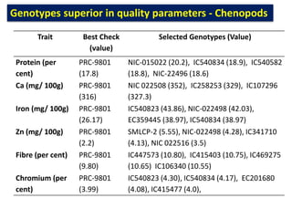 Genotypes superior in quality parameters - Chenopods
Trait Best Check
(value)
Selected Genotypes (Value)
Protein (per
cent)
PRC-9801
(17.8)
NIC-015022 (20.2), IC540834 (18.9), IC540582
(18.8), NIC-22496 (18.6)
Ca (mg/ 100g) PRC-9801
(316)
NIC 022508 (352), IC258253 (329), IC107296
(327.3)
Iron (mg/ 100g) PRC-9801
(26.17)
IC540823 (43.86), NIC-022498 (42.03),
EC359445 (38.97), IC540834 (38.97)
Zn (mg/ 100g) PRC-9801
(2.2)
SMLCP-2 (5.55), NIC-022498 (4.28), IC341710
(4.13), NIC 022516 (3.5)
Fibre (per cent) PRC-9801
(9.80)
IC447573 (10.80), IC415403 (10.75), IC469275
(10.65) IC106340 (10.55)
Chromium (per
cent)
PRC-9801
(3.99)
IC540823 (4.30), IC540834 (4.17), EC201680
(4.08), IC415477 (4.0),
 