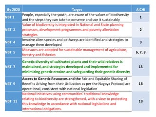 By 2020 Target AICHI
NBT 1
People, especially the youth, are aware of the values of biodiversity
and the steps they can take to conserve and use it sustainably
1
NBT 2
Value of biodiversity is integrated in National and State planning
processes, development programmes and poverty alleviation
strategies
2
NBT 4
Invasive alien species and pathways are identified and strategies to
manage them developed
9
NBT 5
Measures are adopted for sustainable management of agriculture,
forestry and fisheries
6, 7, 8
NBT 7
Genetic diversity of cultivated plants and their wild relatives is
maintained, and strategies developed and implemented for
minimizing genetic erosion and safeguarding their genetic diversity
13
NBT 9
Access to Genetic Resources and the Fair and Equitable Sharing of
Benefits Arising from their Utilization as per the Nagoya Protocol are
operational, consistent with national legislation
16
NBT 11
National initiatives using communities' traditional knowledge
relating to biodiversity are strengthened, with a view to protecting
this knowledge in accordance with national legislations and
international obligations.
18
 