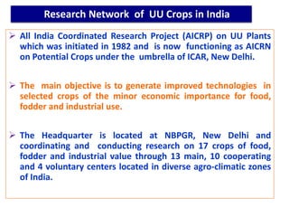  All India Coordinated Research Project (AICRP) on UU Plants
which was initiated in 1982 and is now functioning as AICRN
on Potential Crops under the umbrella of ICAR, New Delhi.
 The main objective is to generate improved technologies in
selected crops of the minor economic importance for food,
fodder and industrial use.
 The Headquarter is located at NBPGR, New Delhi and
coordinating and conducting research on 17 crops of food,
fodder and industrial value through 13 main, 10 cooperating
and 4 voluntary centers located in diverse agro-climatic zones
of India.
Research Network of UU Crops in India
 