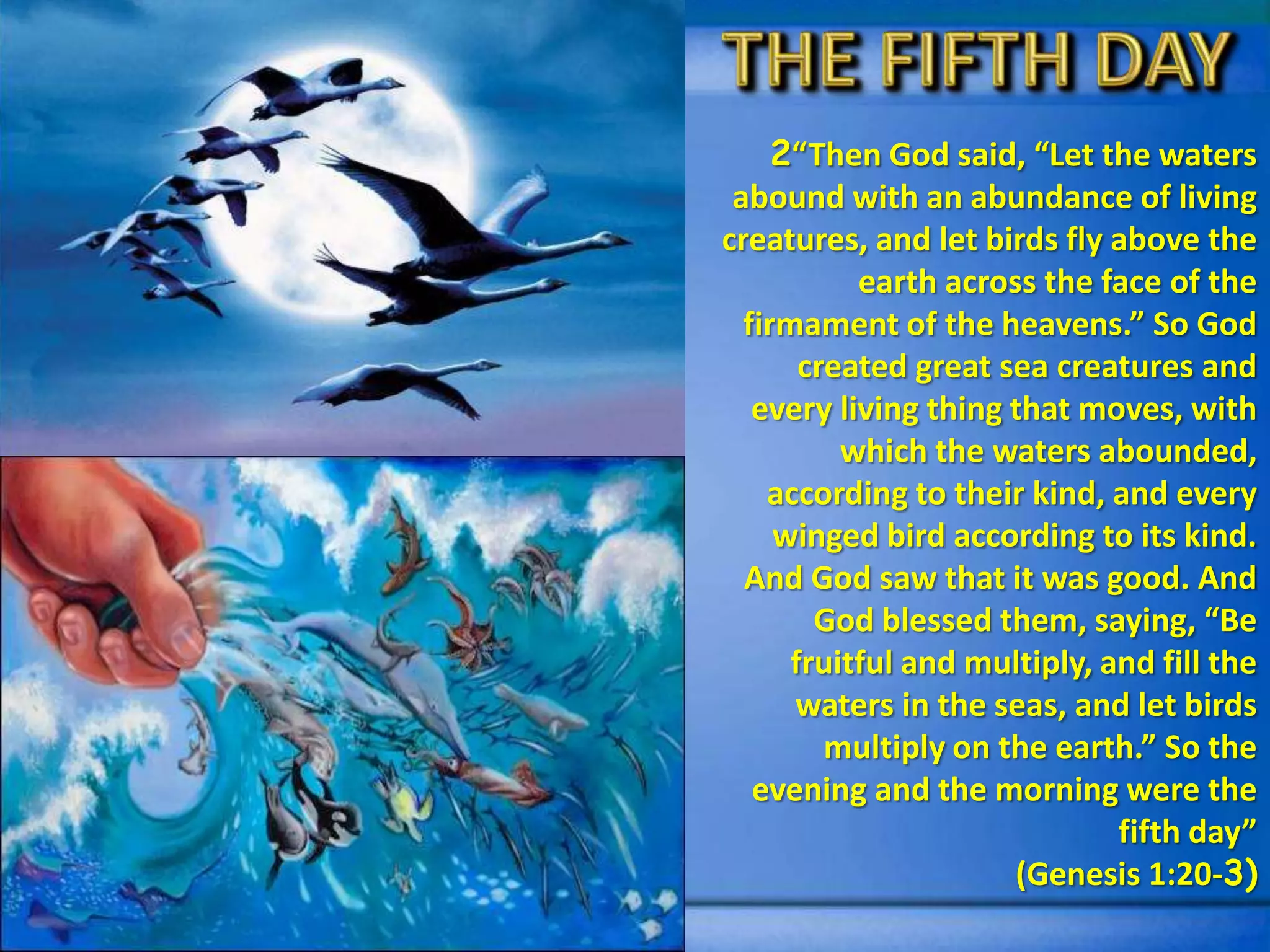 2“Then God said, “Let the waters
abound with an abundance of living
creatures, and let birds fly above the
earth across the face of the
firmament of the heavens.” So God
created great sea creatures and
every living thing that moves, with
which the waters abounded,
according to their kind, and every
winged bird according to its kind.
And God saw that it was good. And
God blessed them, saying, “Be
fruitful and multiply, and fill the
waters in the seas, and let birds
multiply on the earth.” So the
evening and the morning were the
fifth day”
(Genesis 1:20-3)
 