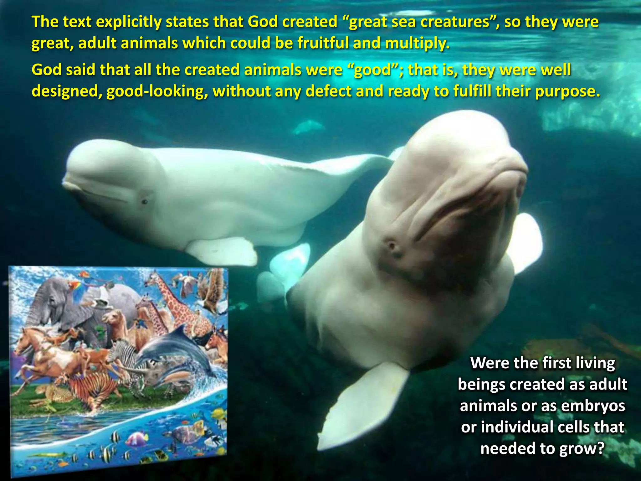 Were the first living
beings created as adult
animals or as embryos
or individual cells that
needed to grow?
The text explicitly states that God created “great sea creatures”, so they were
great, adult animals which could be fruitful and multiply.
God said that all the created animals were “good”; that is, they were well
designed, good-looking, without any defect and ready to fulfill their purpose.
 