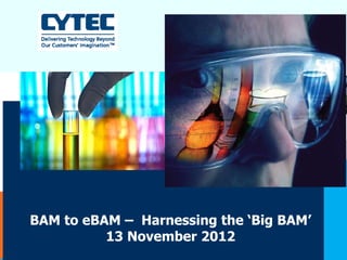 BAM to eBAM – Harnessing the ‘Big BAM’
          13 November 2012
 