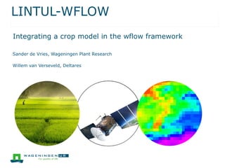LINTUL-WFLOW
Sander de Vries, Wageningen Plant Research
Willem van Verseveld, Deltares
Integrating a crop model in the wflow framework
 
