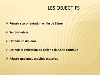  Réussir son orientation en fin de 3ème
 Se revaloriser
 Obtenir un diplôme
 Obtenir la validation du palier 3 du socle commun
 Réussir quelques activités scolaires
LES OBJECTIFS
 