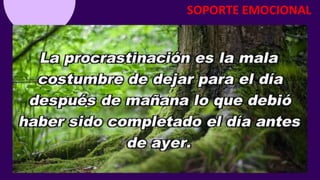 SOPORTE EMOCIONAL
 