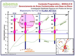 ® copyright 2009. PIA (São Paulo, SP)
Conteúdo Programático – MODULO III
Gerenciamento de Áreas Contaminadas com Base no Risco
Investigação Detalhada Passivos em Postos de Serviço
0
1
2
3
4
5
6
7
8
PROFUNDIDADE(metros)
ST-02
A A’
ST-01 ST-07 ST-05
ATERRO
9
10
TOPO DO
EMBASAMENTO
Mapeamento Vertical da PLUMA RETIDA
900
100
ND
ND
ND
ND
ND
1500
ND
ND
500
100
1100
ND
ND
ND
ND
ND
ND
ND
A
A’
ND
ND
3,0 mg/kg
ND
ND
ND ND
ND
 