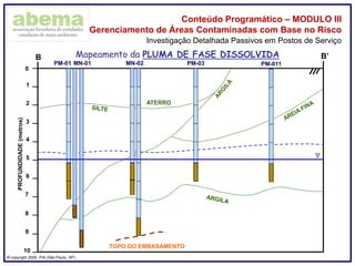 ® copyright 2009. PIA (São Paulo, SP)
Conteúdo Programático – MODULO III
Gerenciamento de Áreas Contaminadas com Base no Risco
Investigação Detalhada Passivos em Postos de Serviço
Mapeamento da PLUMA DE FASE DISSOLVIDA
0
1
2
3
4
5
6
7
8
PROFUNDIDADE(metros)
B B’
MN-02
ATERRO
MN-01 PM-03 PM-011
9
10
TOPO DO EMBASAMENTO
PM-01
 