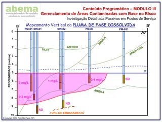 ® copyright 2009. PIA (São Paulo, SP)
Conteúdo Programático – MODULO III
Gerenciamento de Áreas Contaminadas com Base no Risco
Investigação Detalhada Passivos em Postos de Serviço
0
1
2
3
4
5
6
7
8
PROFUNDIDADE(metros)
B B’
ATERRO
9
10
TOPO DO EMBASAMENTO
Mapeamento Vertical da PLUMA DE FASE DISSOLVIDA
1 mg/L
ND
ND
ND0,4 mg/L
0,3 mg/L
3 mg/L
Mapeamento Vertical da PLUMA DE FASE DISSOLVIDA
MN-02MN-01 PM-03 PM-011PM-01
 