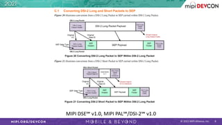 © 2021 MIPI Alliance, Inc. 8
MIPI DSE℠ v1.0, MIPI PAL℠/DSI-2℠ v1.0
 
