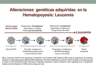03 Diagnóstico y tratamiento de las leucemias agudas - Dra. Gabriela