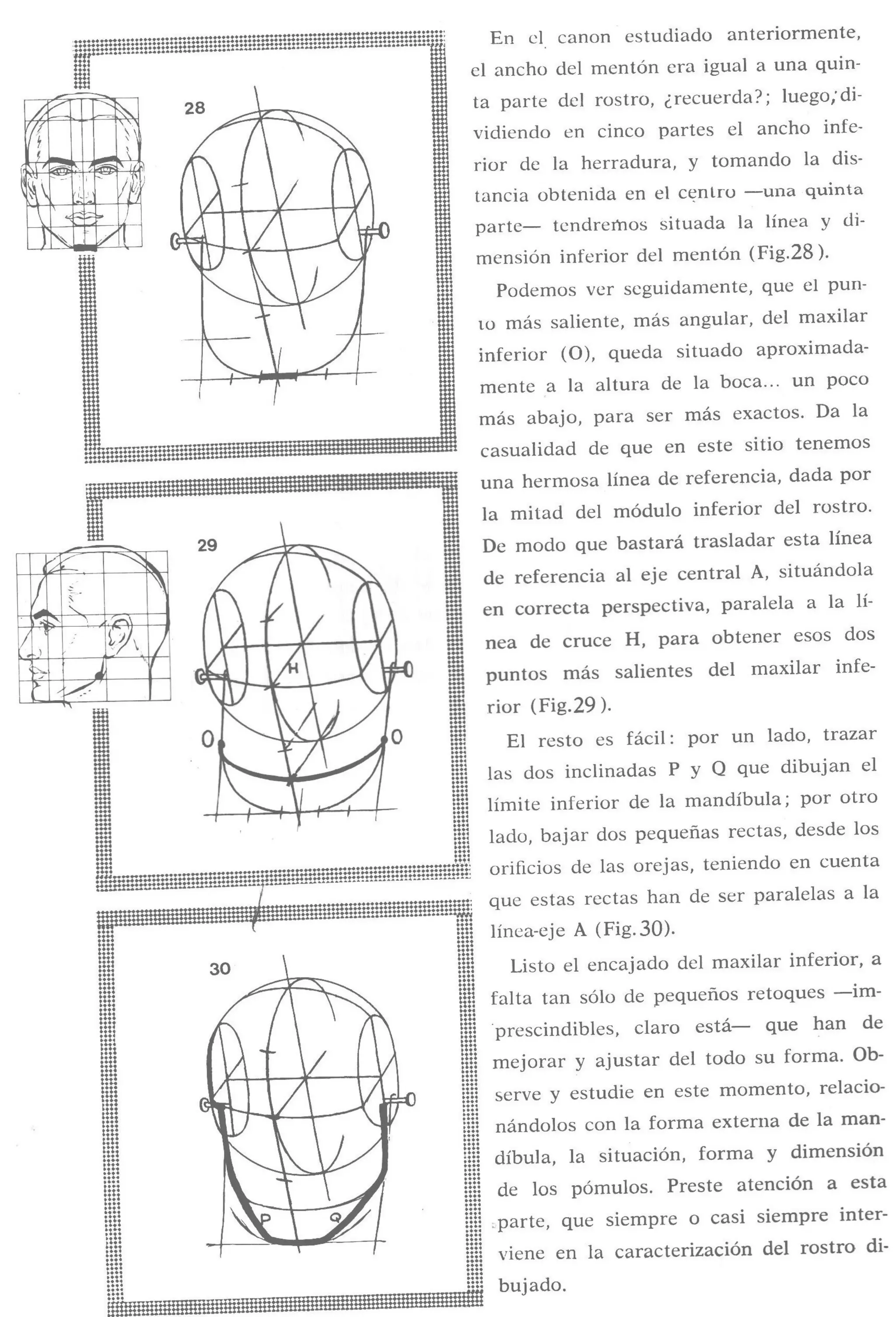 Aprende a dibujar la cabeza humana. Retratos