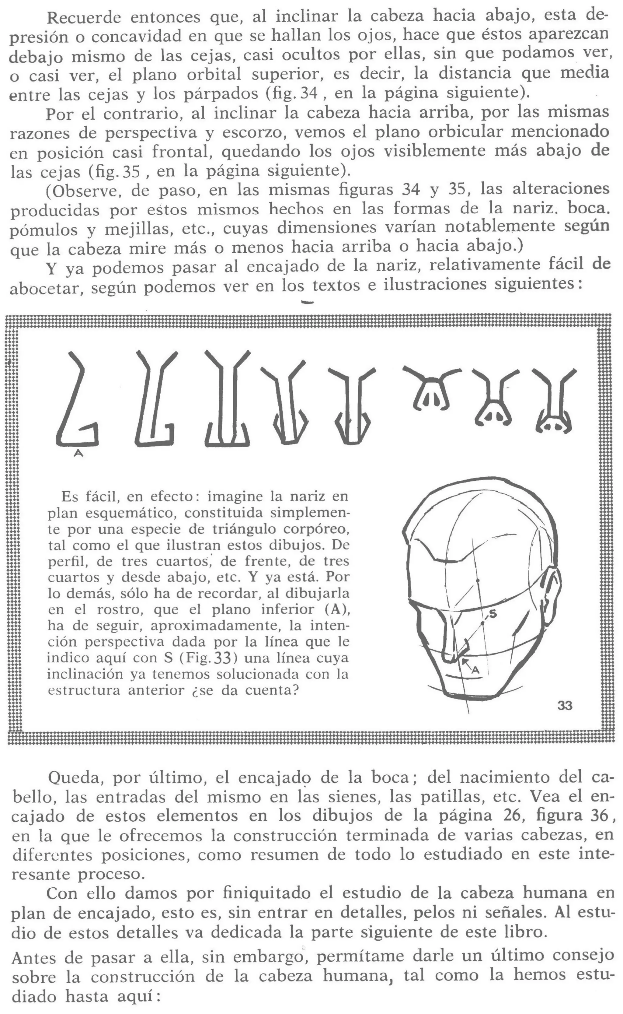 Aprende a dibujar la cabeza humana. Retratos
