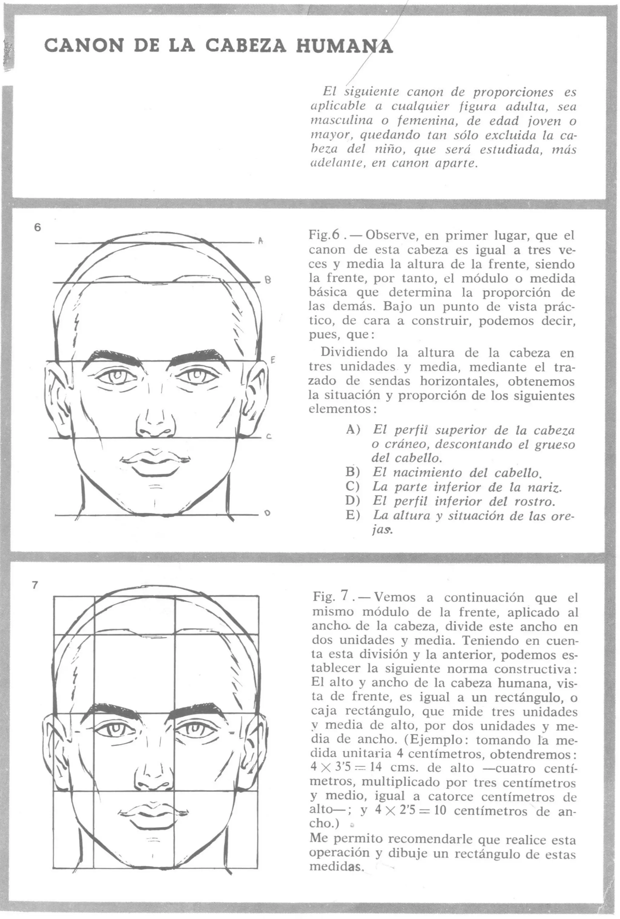 Aprende a dibujar la cabeza humana. Retratos