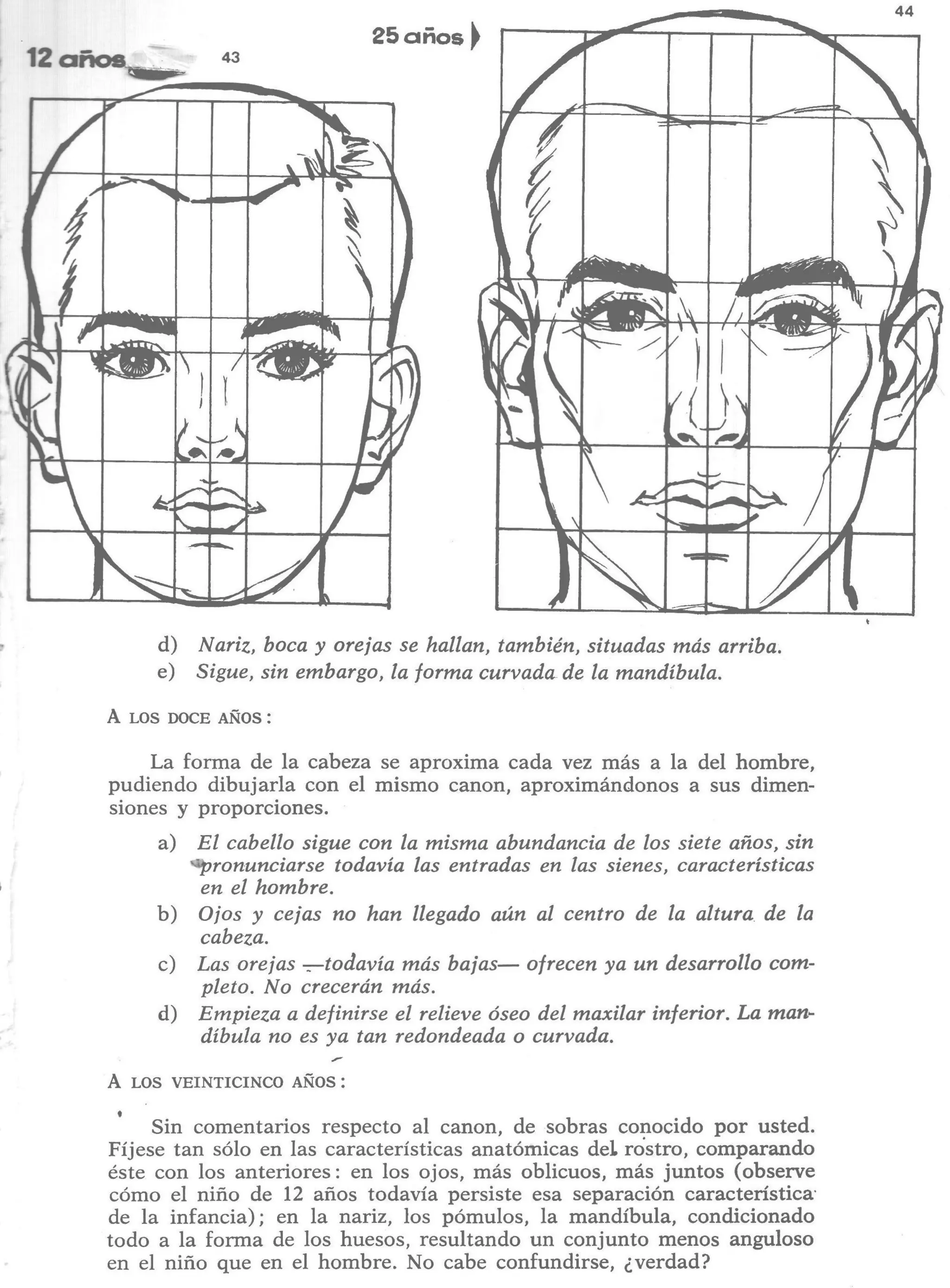 Aprende a dibujar la cabeza humana. Retratos