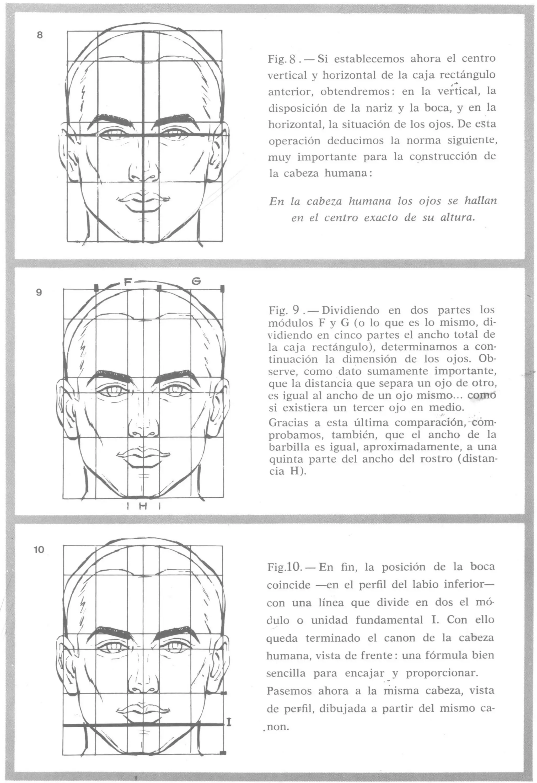 Aprende a dibujar la cabeza humana. Retratos