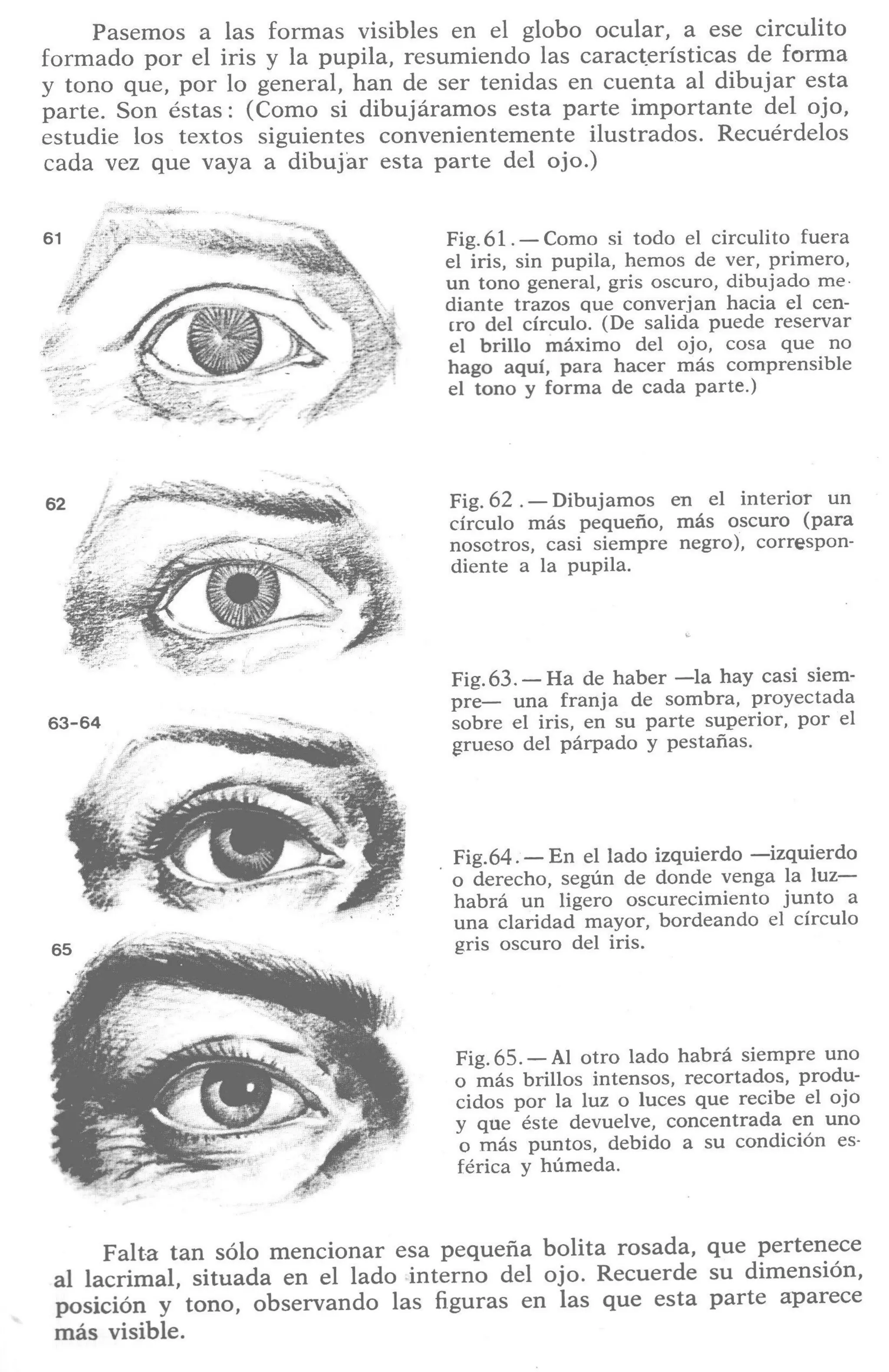 Aprende a dibujar la cabeza humana. Retratos