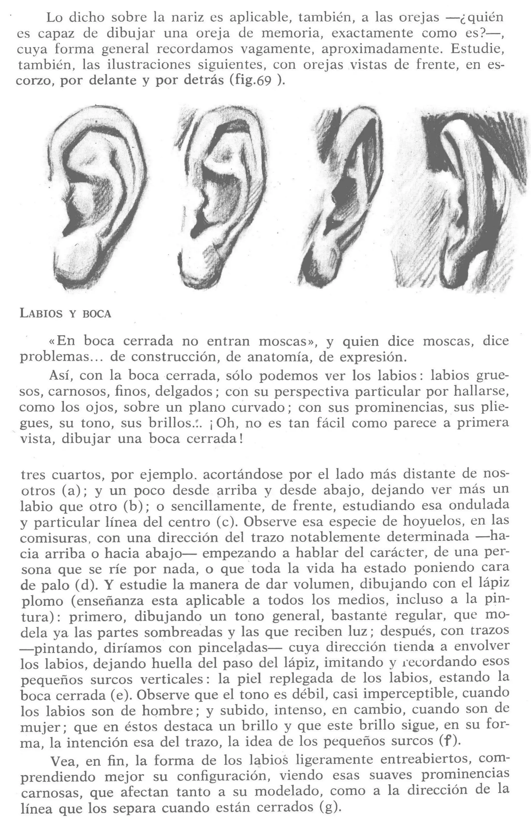 Aprende a dibujar la cabeza humana. Retratos