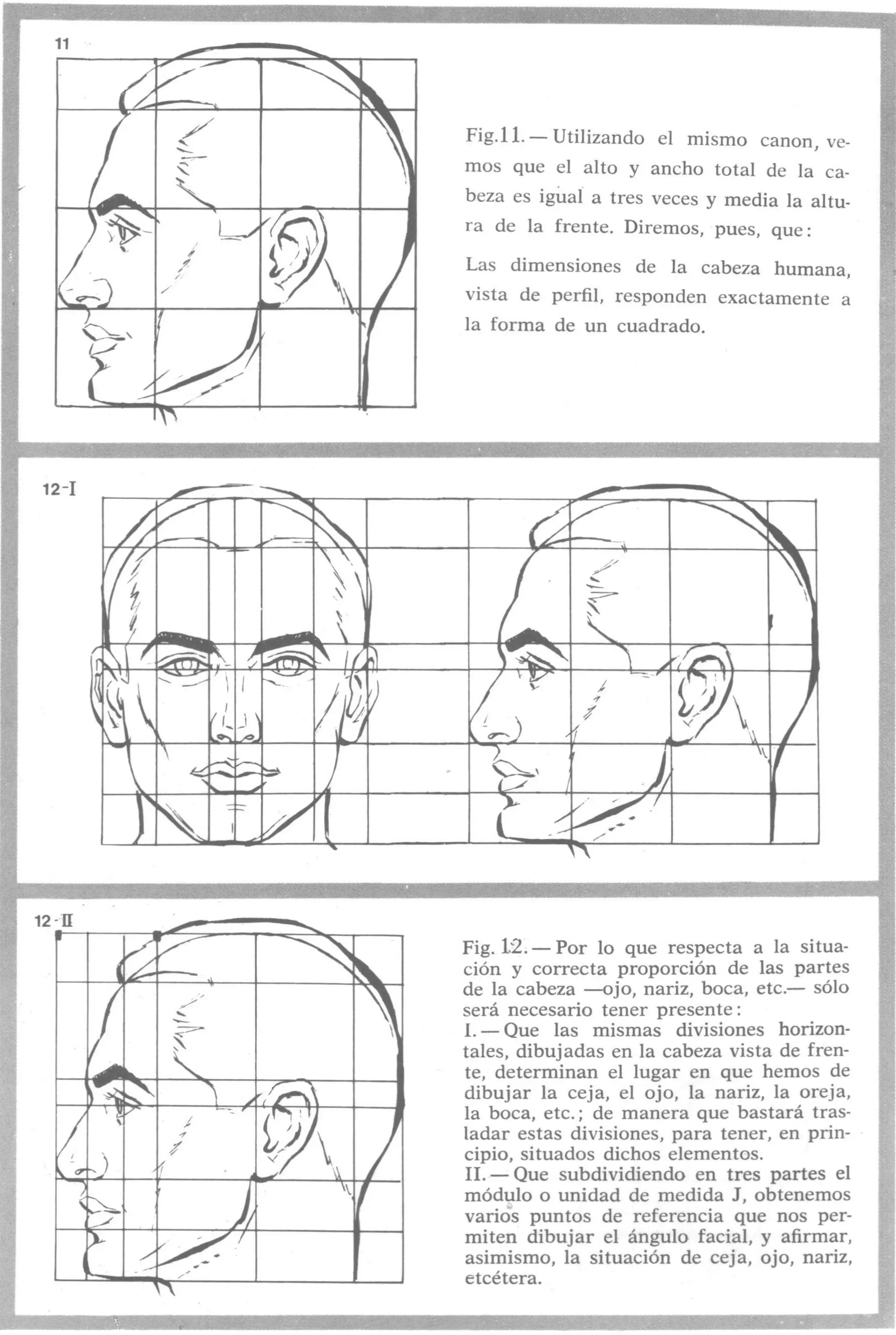 Aprende a dibujar la cabeza humana. Retratos