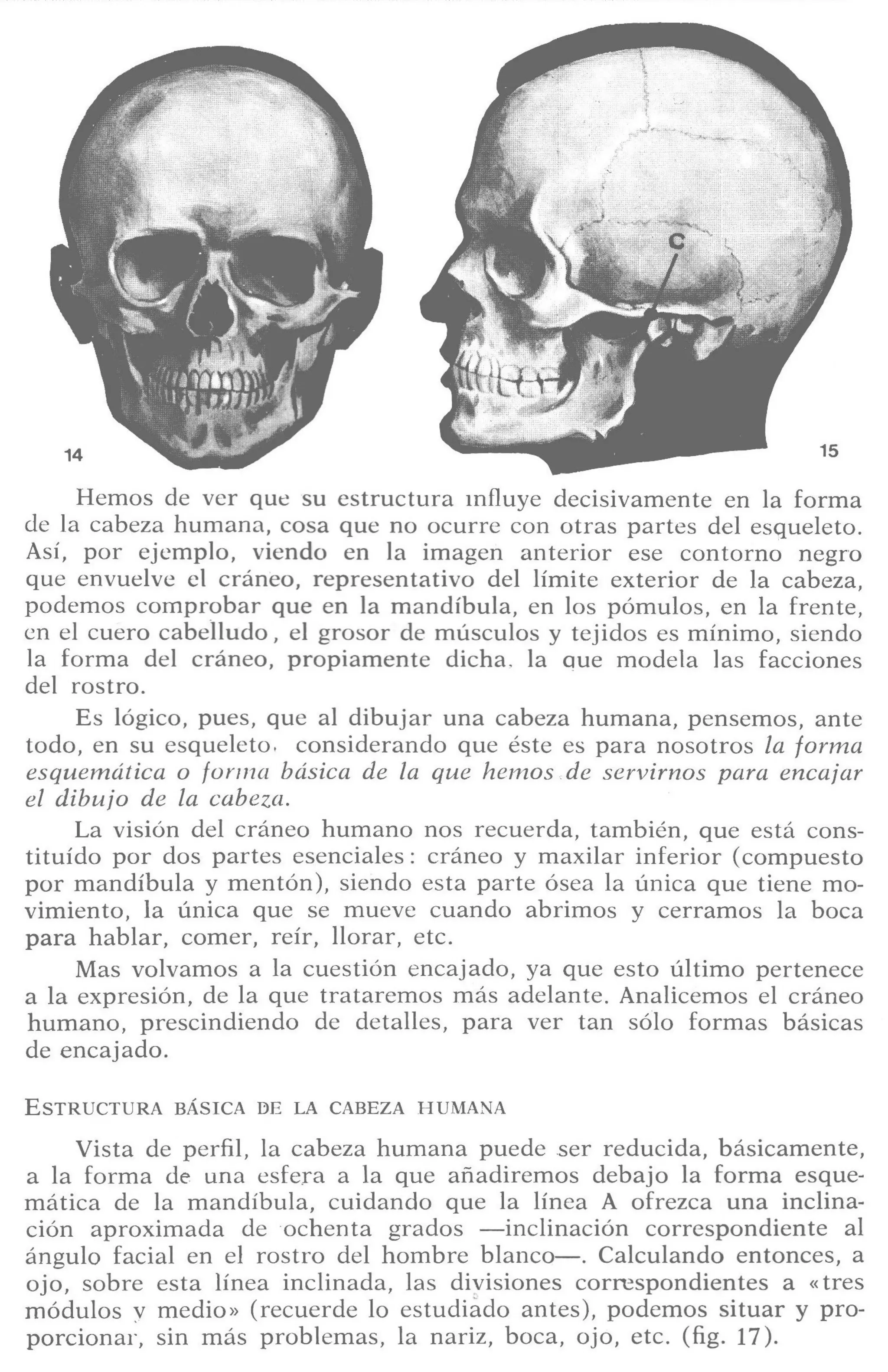 Aprende a dibujar la cabeza humana. Retratos
