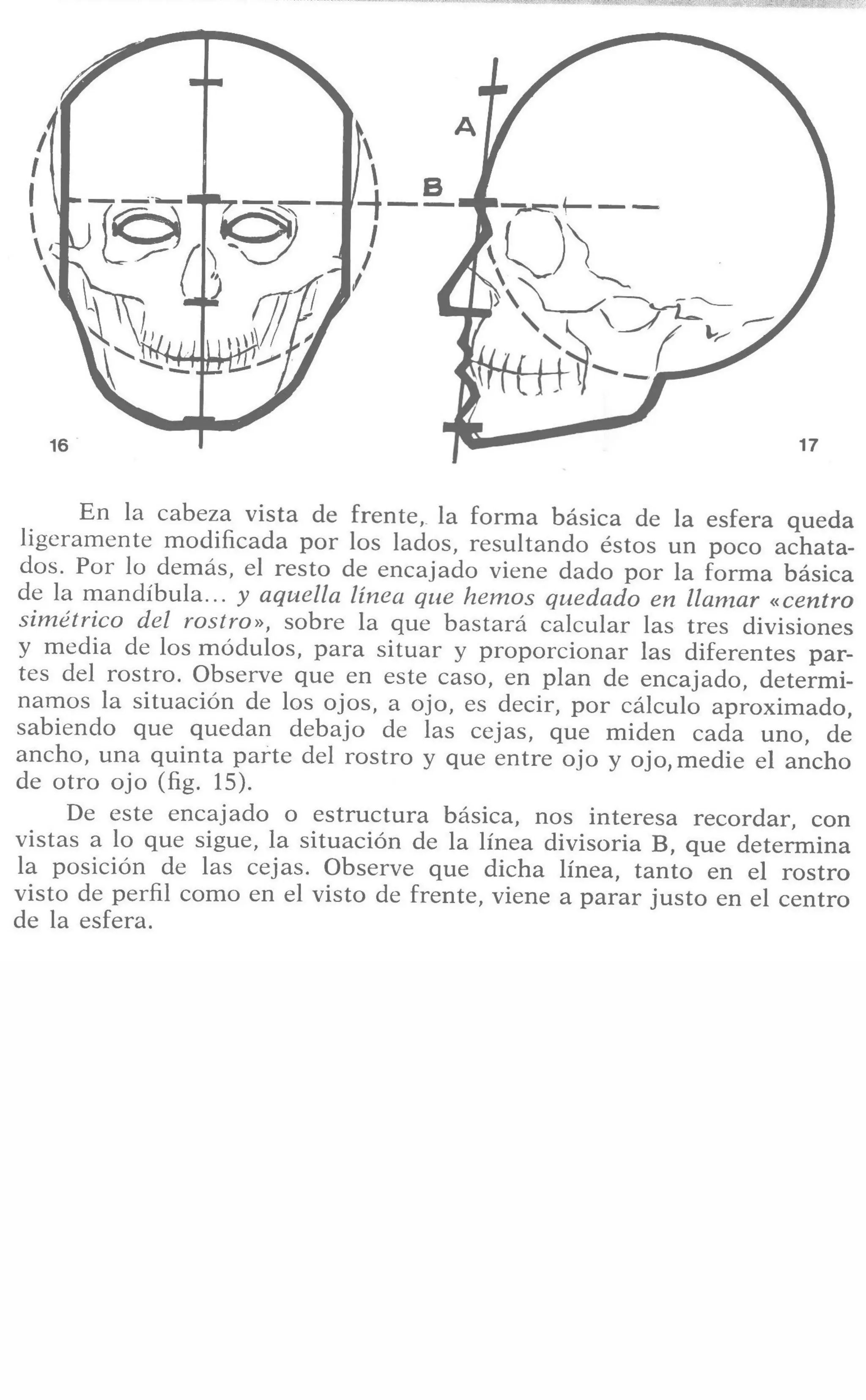 Aprende a dibujar la cabeza humana. Retratos
