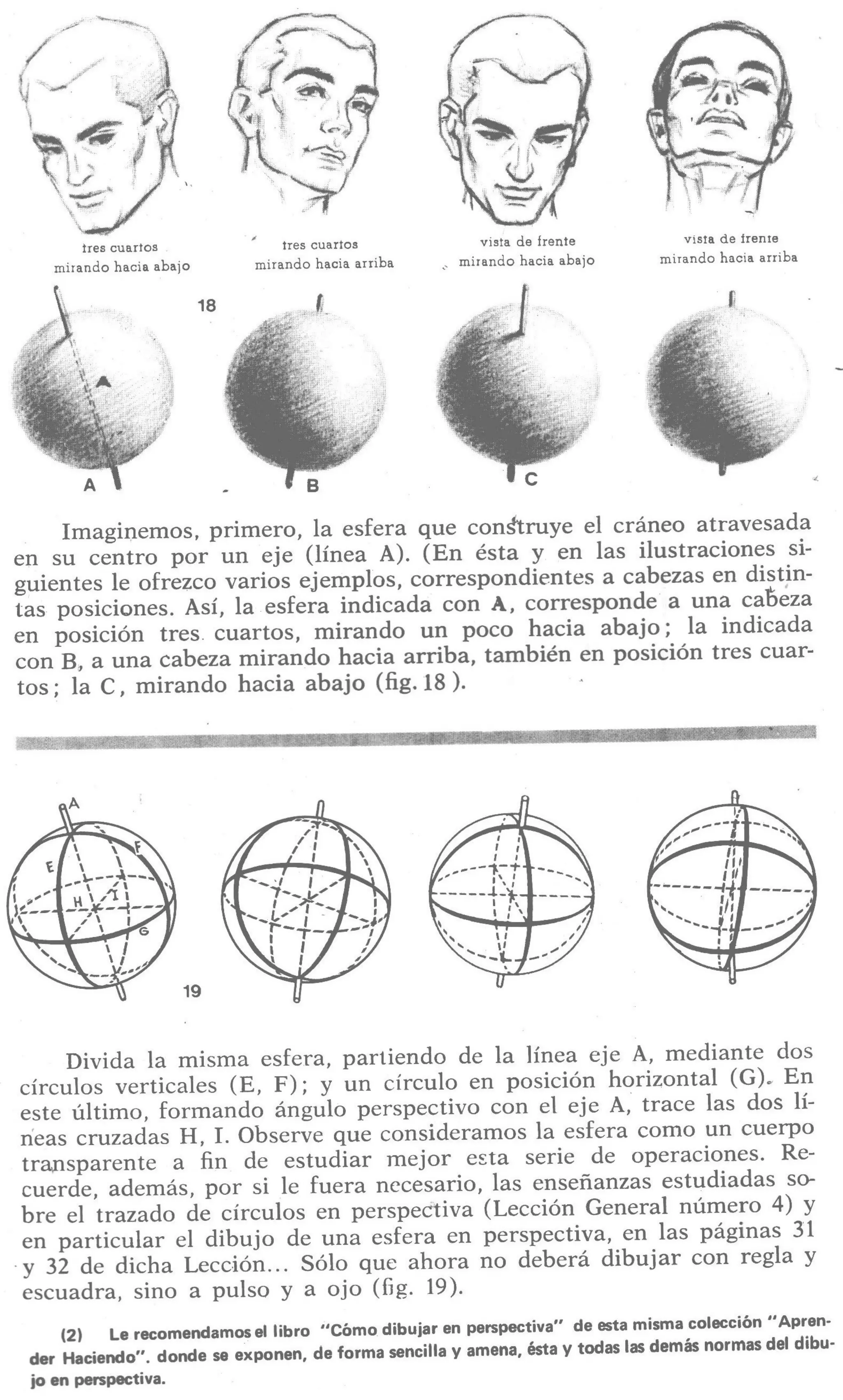 Aprende a dibujar la cabeza humana. Retratos